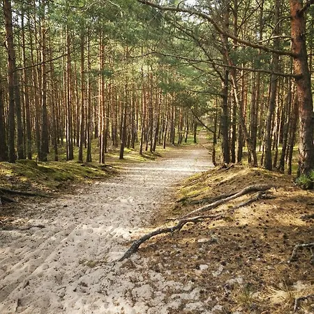 M&k Rodzinny, - Wyspa Sobieszewska Apartment Gdansk