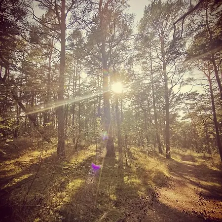 M&k Rodzinny, - Wyspa Sobieszewska *