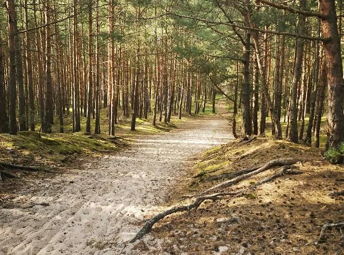 M&k Rodzinny, - Wyspa Sobieszewska Appartement Gdańsk