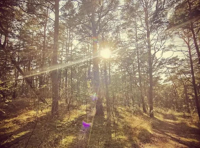 M&k Rodzinny, - Wyspa Sobieszewska *